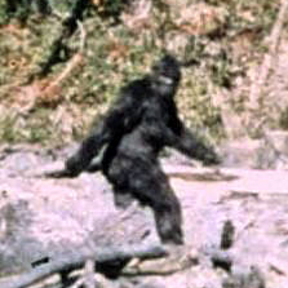 bigfoot-img